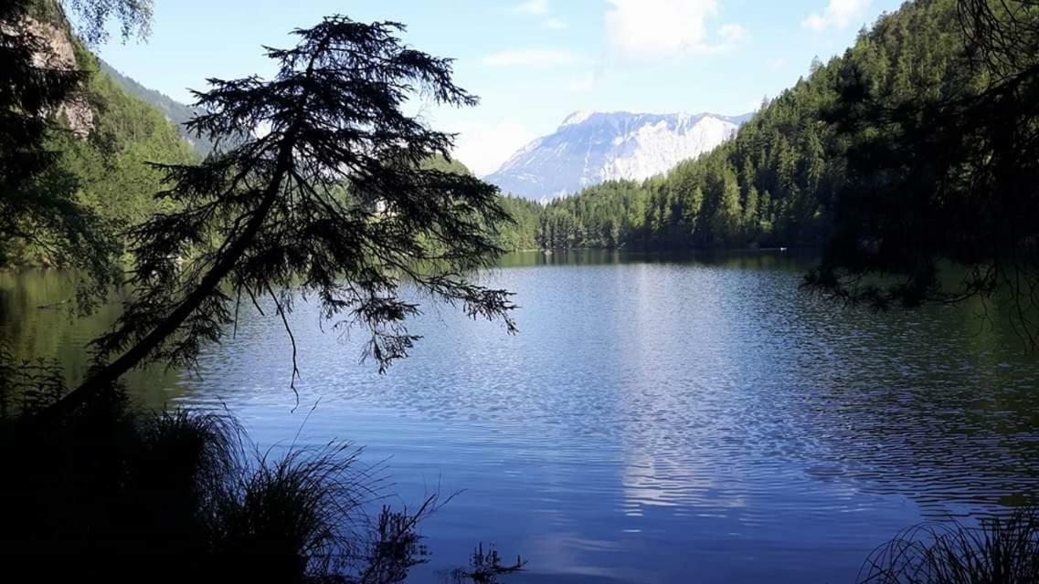 das Blockhittle Sautens Exteriör bild
